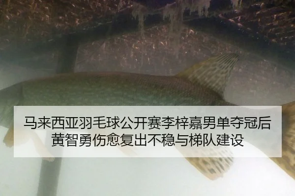 ma-lai-xi-ya-yu-mao-qiu-gong-kai-sai-li-zi-jia-nan-dan-duo-guan-hou-huang-zhi-yong-shang-yu-fu-chu-bu-wen-yu-ti-dui-2-986.jpg