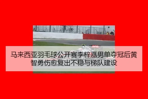 ma-lai-xi-ya-yu-mao-qiu-gong-kai-sai-li-zi-jia-nan-dan-duo-guan-hou-huang-zhi-yong-shang-yu-fu-chu-bu-wen-yu-ti-dui-3-119.jpg